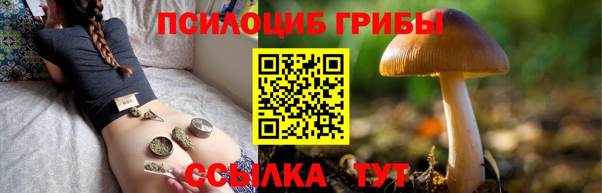 Галлюциногенные грибы Magic Shrooms Мегион