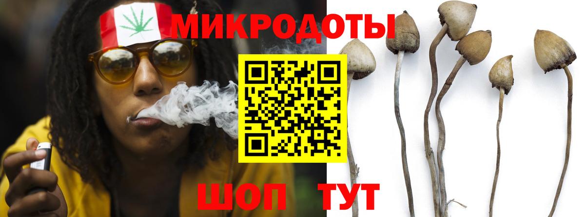 Псилоцибиновые грибы прущие грибы  Вход с VPN  Мегион 